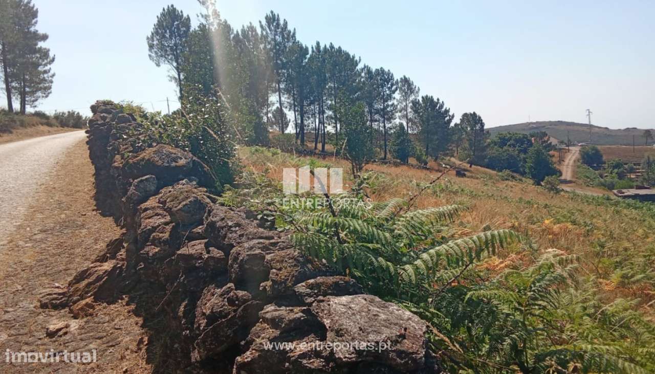 Terreno para venda, Arga de Baixo, Caminha - Grande imagem: 4/10