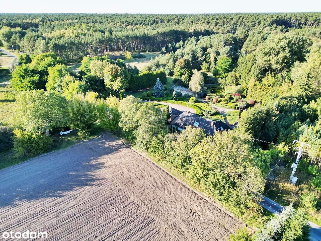 Sielskie działki z warunkami zabudowy, przy lesie - cisza i spokój - Pełny obrazek: 5/12