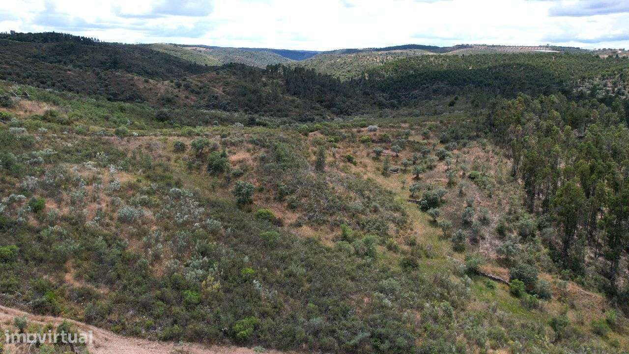 Terreno - Grande imagem: 4/4