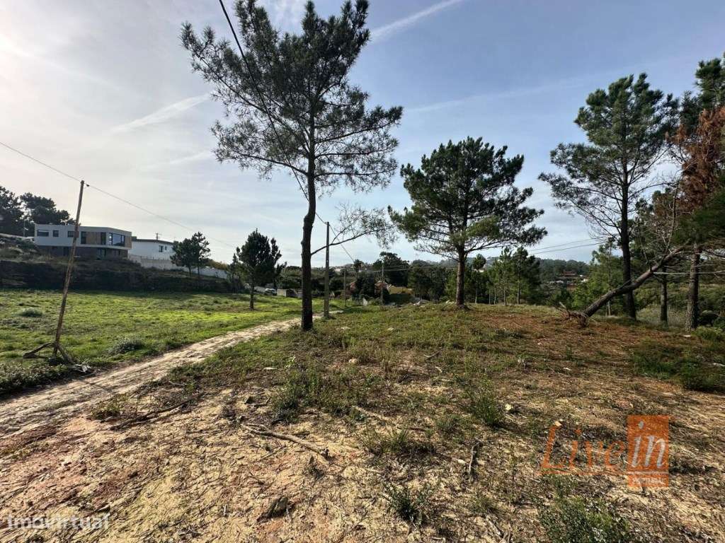 Terreno para Construção com 1.900 m² em Mafra - Grande imagem: 5/14
