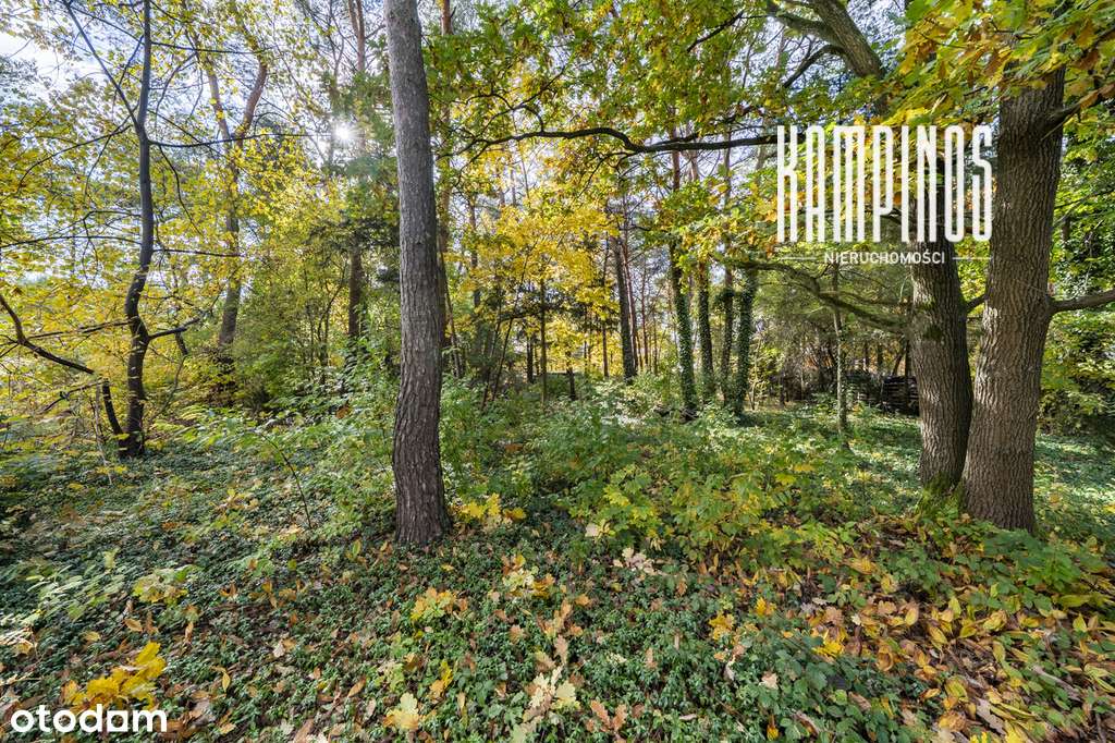 Zadrzewiona działka budowlana w Izabelinie C-3