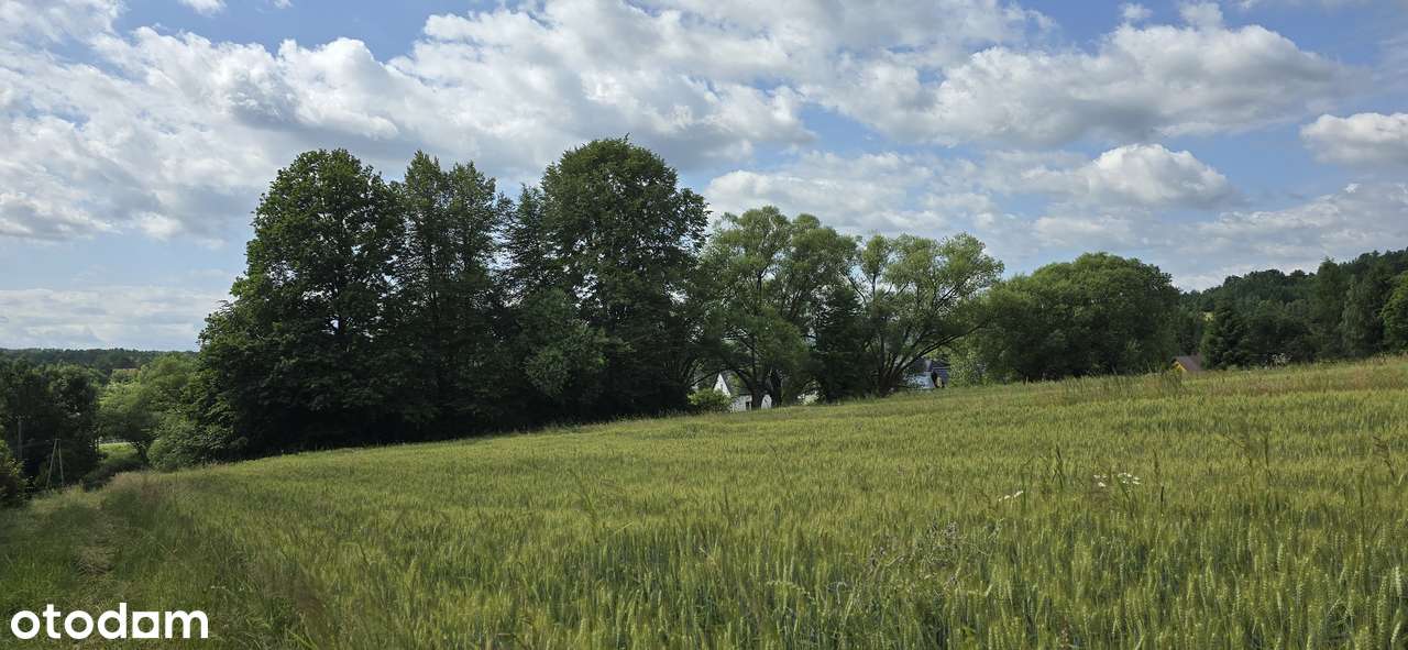 Działka  Podolany 10 km od Skawiny-1