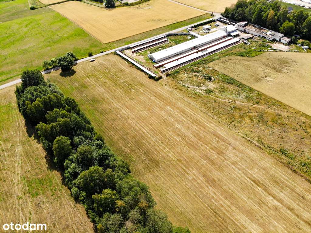 Działka przy Augustowie, 1.28ha - Pełny obrazek: 4/9