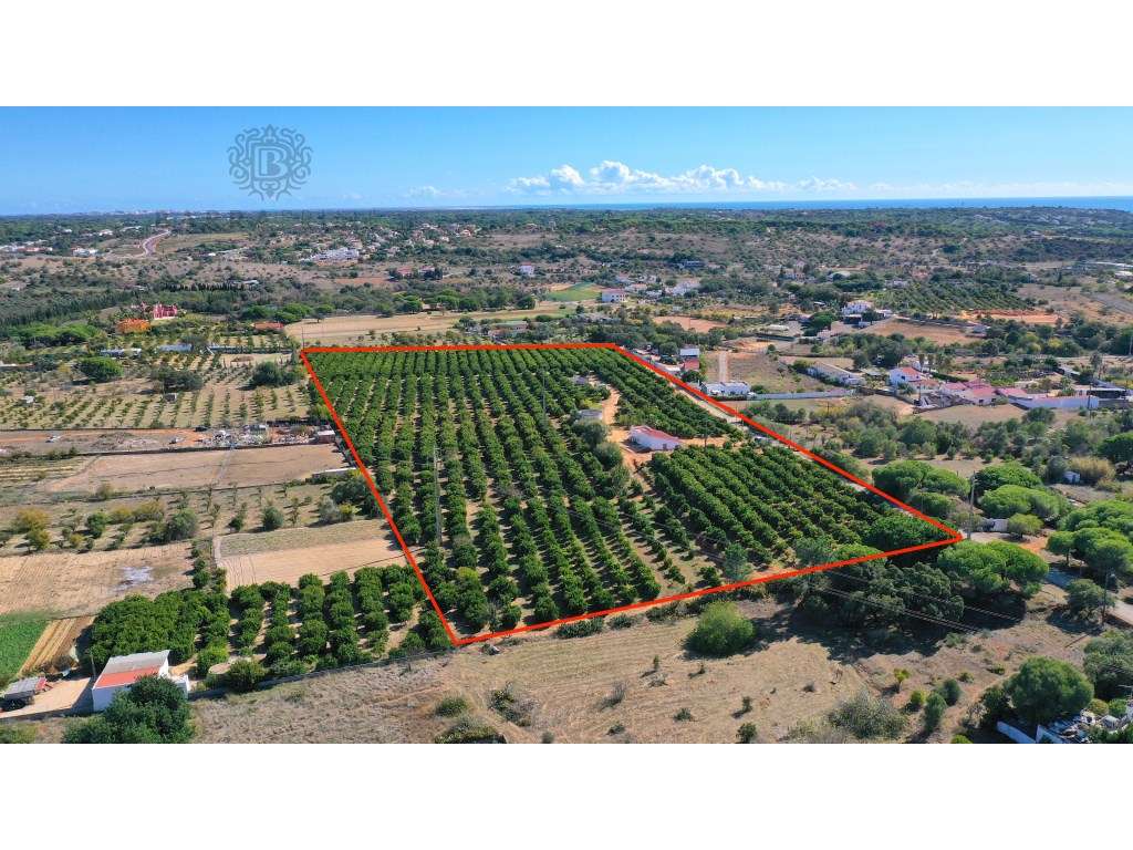 Terreno com casa rústica com projeto aprovado em Fonte Santa - Grande imagem: 3/15