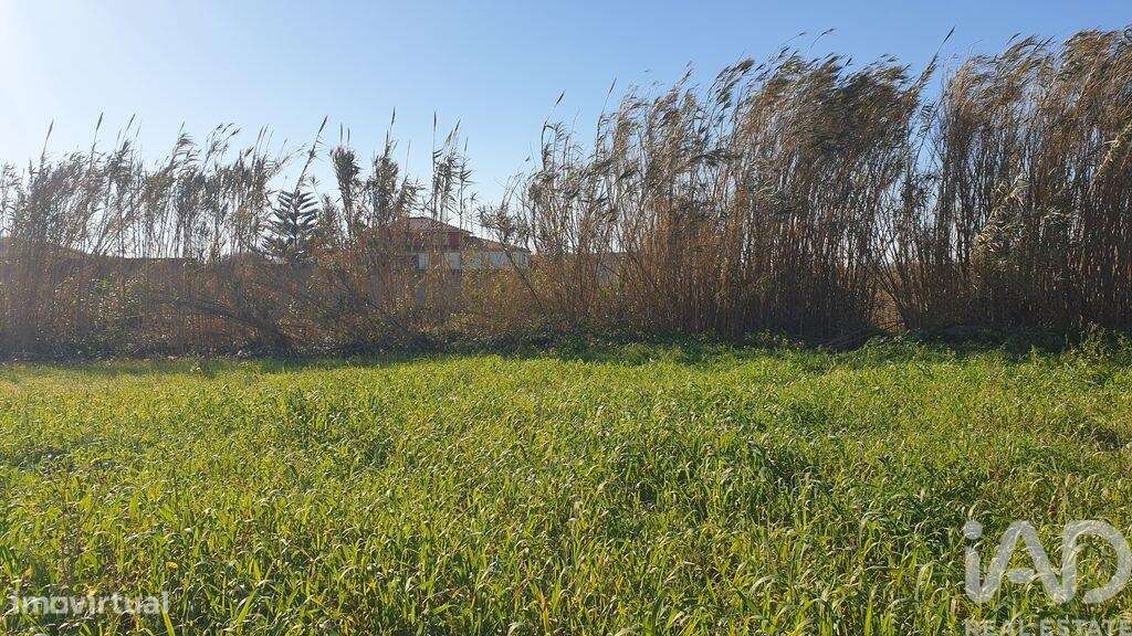 Terreno em Ferrel de 1200,00 m2 - Grande imagem: 5/8