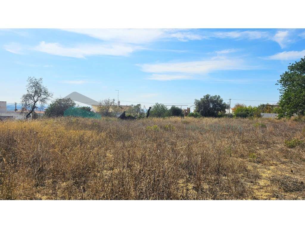 Terreno com projeto aprovado- Santa Bárbara de Nexe - Grande imagem: 2/19