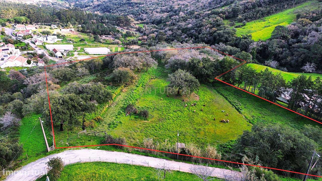 O Terreno Ideal para dar vida à sua moradia de sonho – Ribas de Cima, - Grande imagem: 2/9