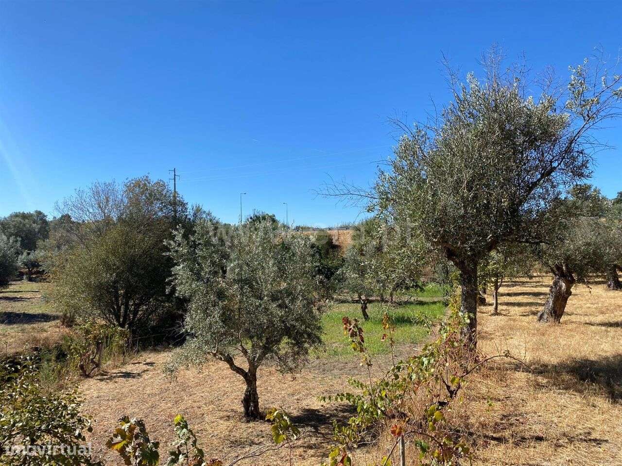 Quintinha / Fundão, Castelo Novo - Grande imagem: 3/11