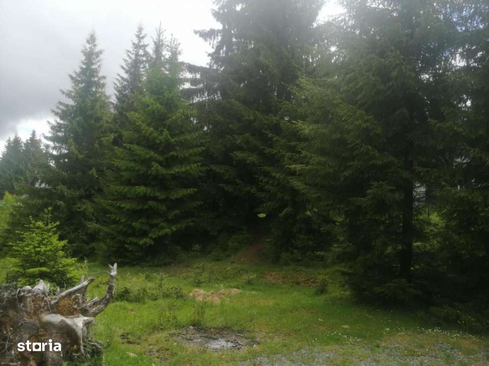 Teren de vanzare Belis1300mp Strada principala Intravilan-4