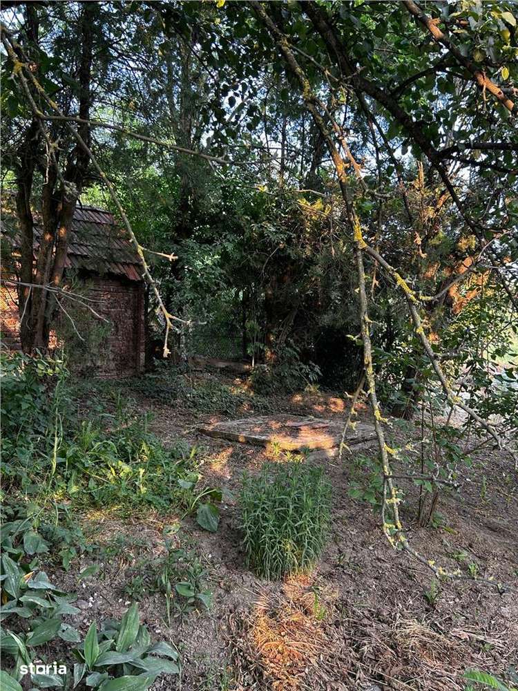 RECO Terenuri intravilane+ Teren Extravilan 8200 mp, Cartier Podgoria - Imagine principală: 3/9