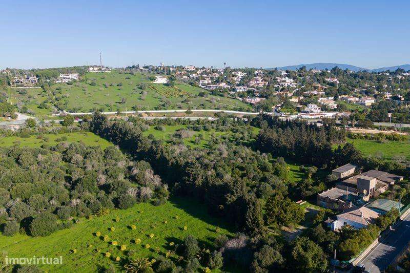 Quinta em Lagos, Praia da Luz,  46.000 m2, 2 casas e 2 Armazéns-23