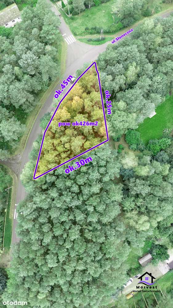 Dzierżno koło Poraja | Działka budowlana w leśnym otoczeniu - Pełny obrazek: 4/5