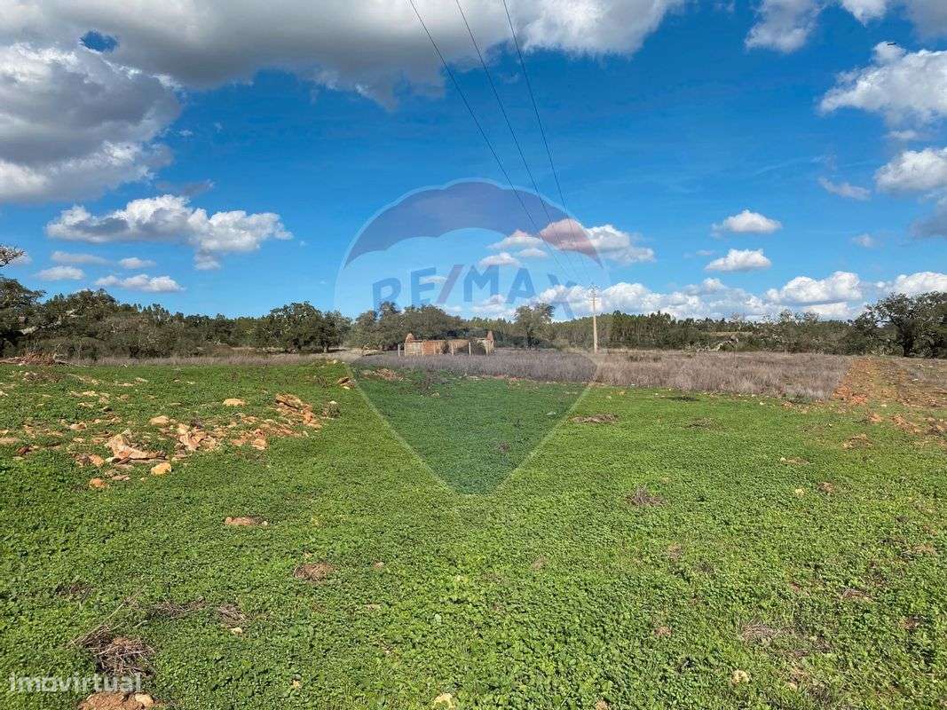 Herdade T2 para venda - Grande imagem: 5/12