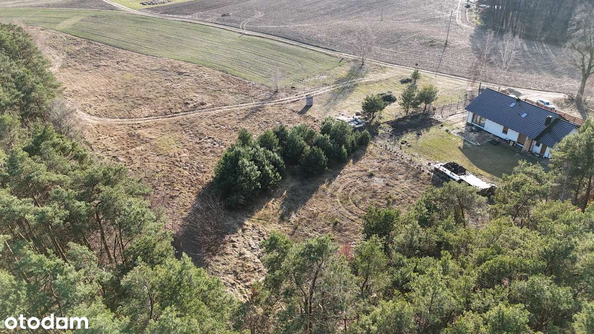 Działki budowlane / las / bez pośredników / różne obszary do wyboru - Pełny obrazek: 4/5
