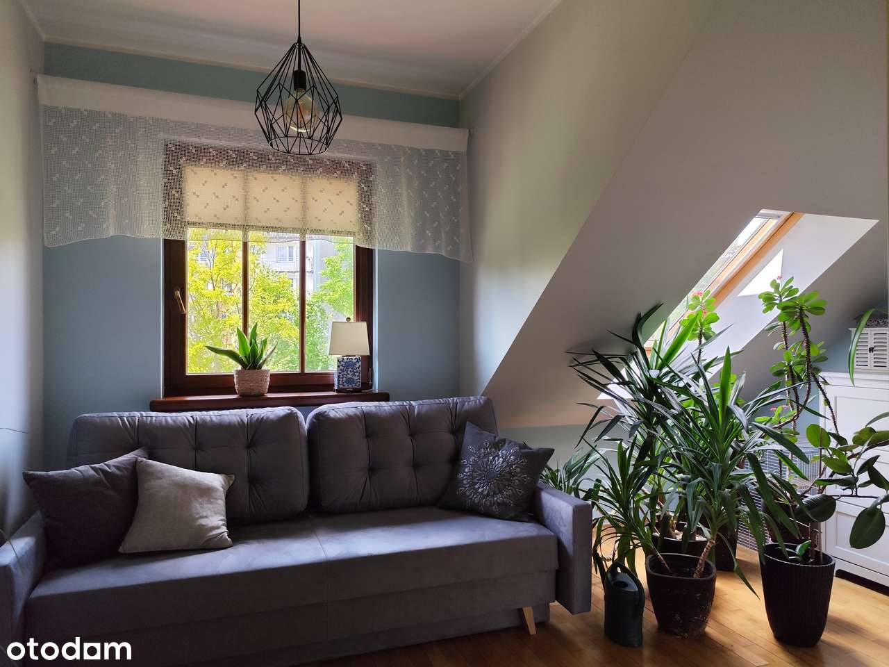 Dom parterowy 244m2, 6 pokoi, gazowe, garaż, działka 1168m2 MIECHOWICE-13