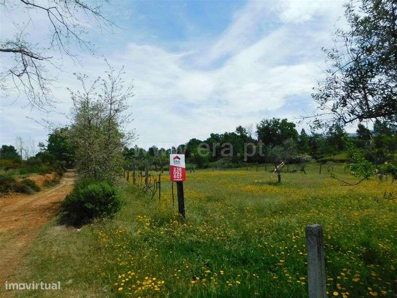 Terreno / Seia, Sameice e Santa Eulália - Grande imagem: 3/15