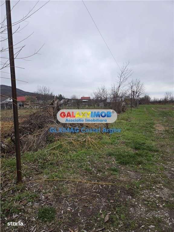 Vindem teren intravilan 1000 mp in Calinesti , dubla deschidere - Imagine principală: 4/4