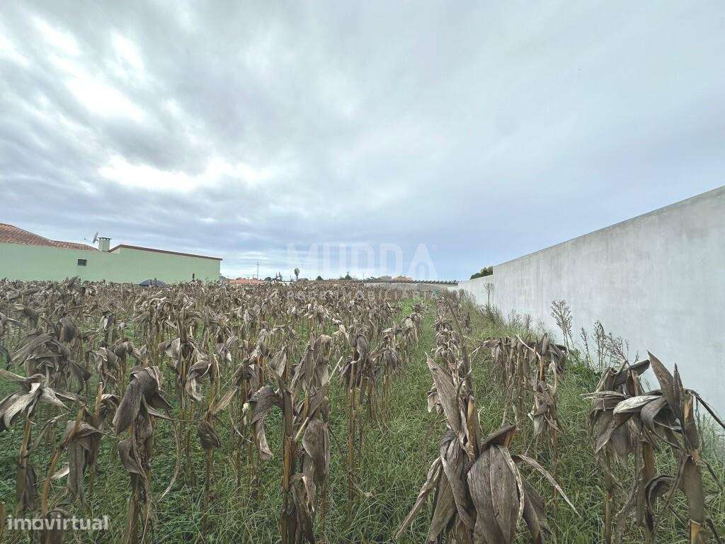 Terreno rústico com viabilidade para construção, Veiros, Estarreja-5