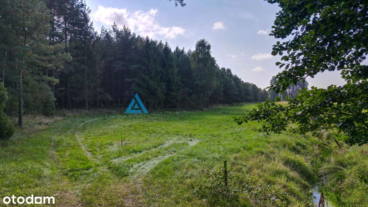 Działka Osówek - Pełny obrazek: 4/20