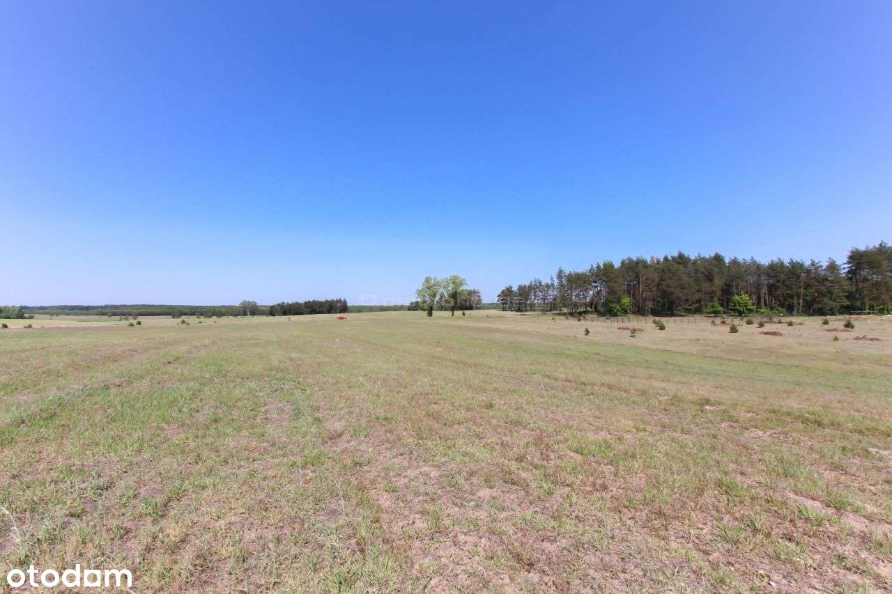 Na sprzedaż działka budowlana w miejscowości Spore - Pełny obrazek: 4/7