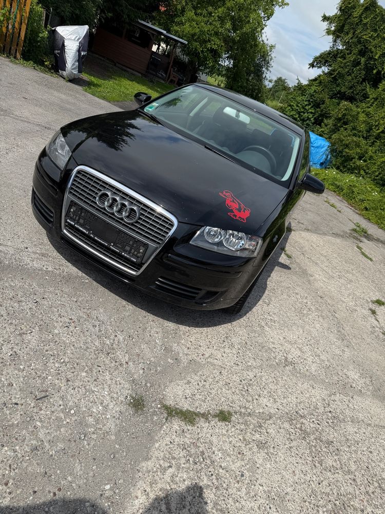Audi A3 8P (2003-2012) 1.6 Ambition 2008