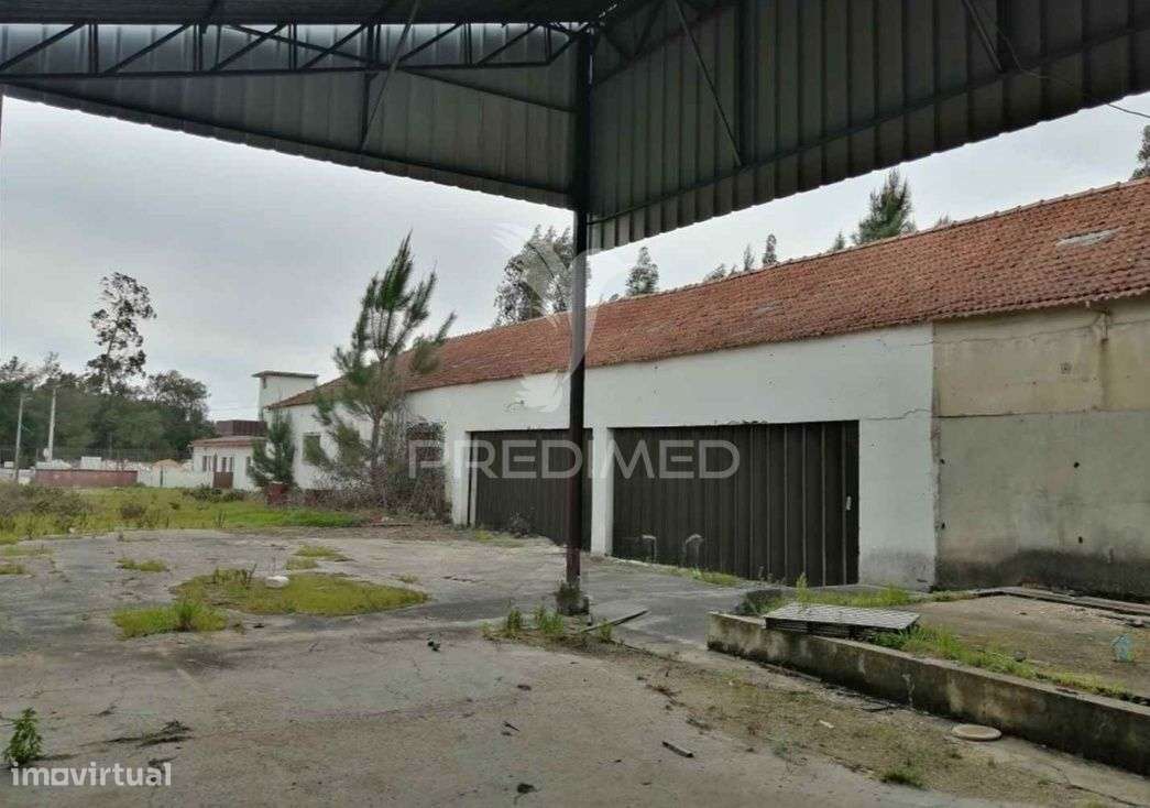 Armazém - Anadia - Grande imagem: 2/13