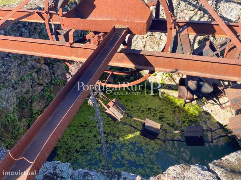 Terreno rústico com 17.740 m² em Monsanto - Grande imagem: 5/17