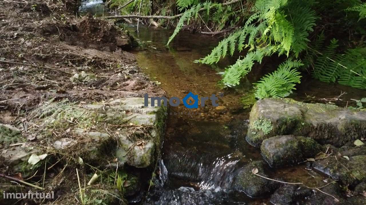 Quinta/Moradia em Pedra com 5.500 m² de Terreno em Fornelos – Ponte-14