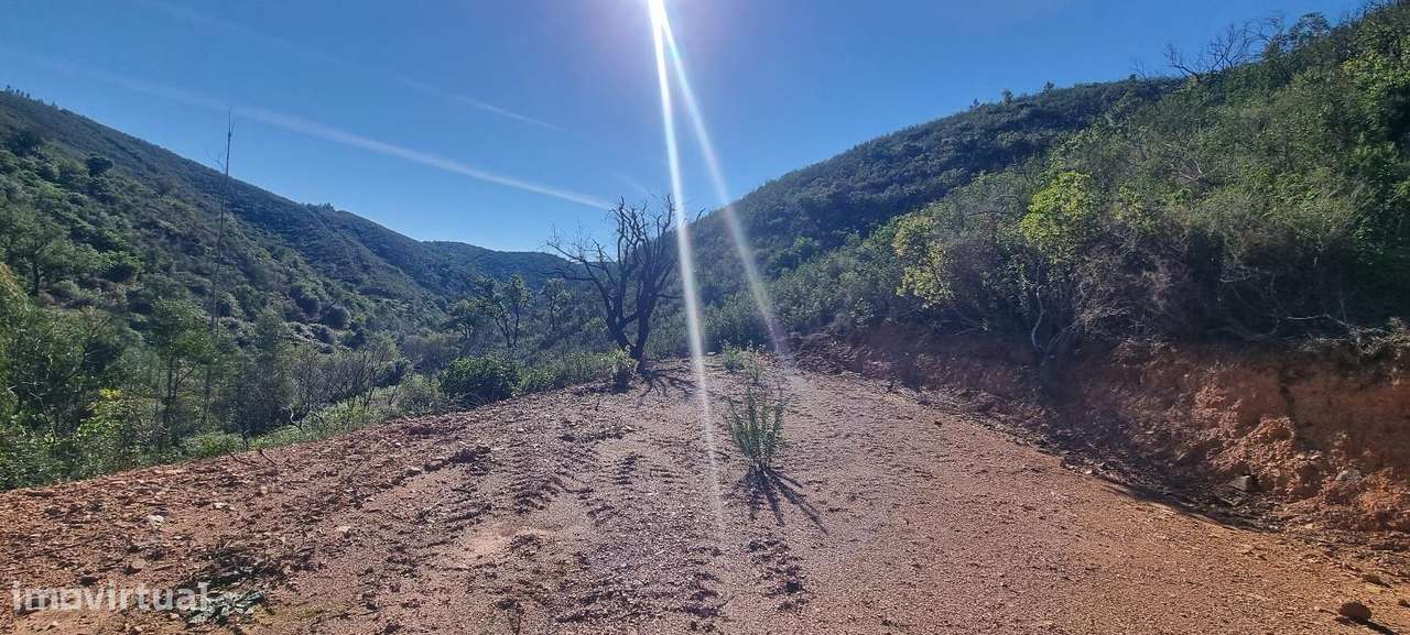 Terreno rústico Monchique Vale das Canas - Grande imagem: 5/11