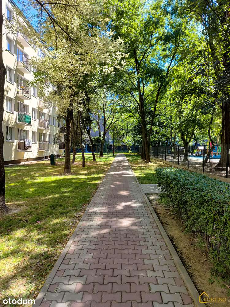 Widne 3-pokojowe z balkonem i oddzielną kuchnią! Nowa, niższa cena!-8