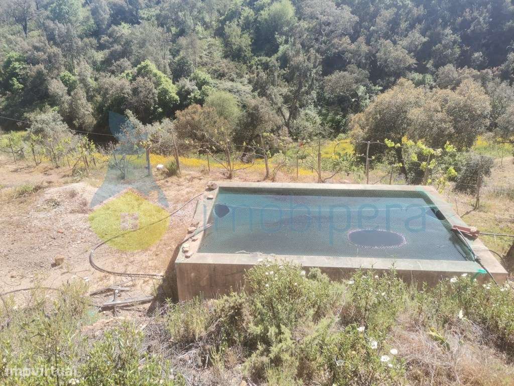 Quintinha para recuperar em Monchique - Grande imagem: 5/9