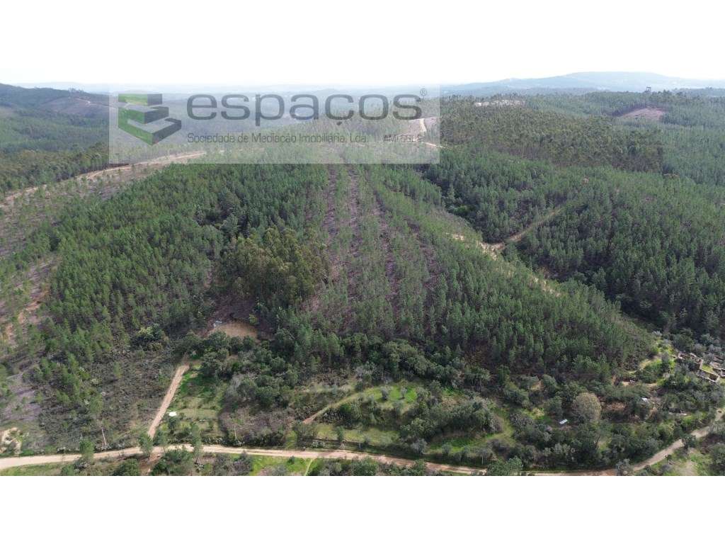 Terreno Rústico Venda Castelo Branco - Grande imagem: 5/10