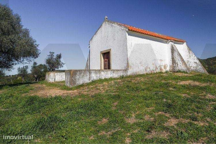 HERDADE ALENTEJO- Alter do Chão - Grande imagem: 5/14