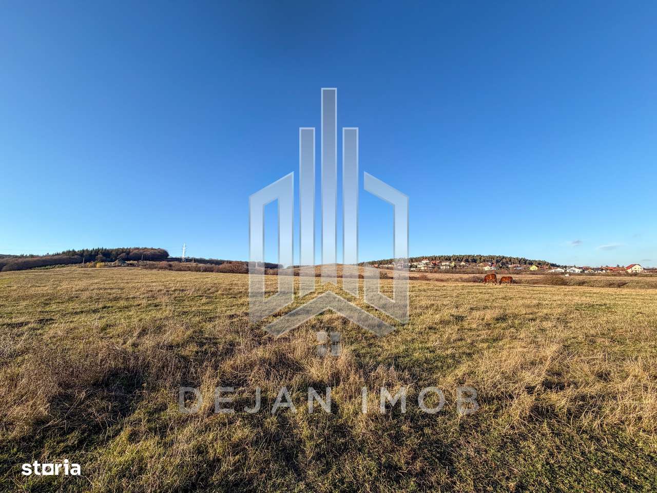 Teren Extravilan | 3.000 mp | Strada Pădurii-3