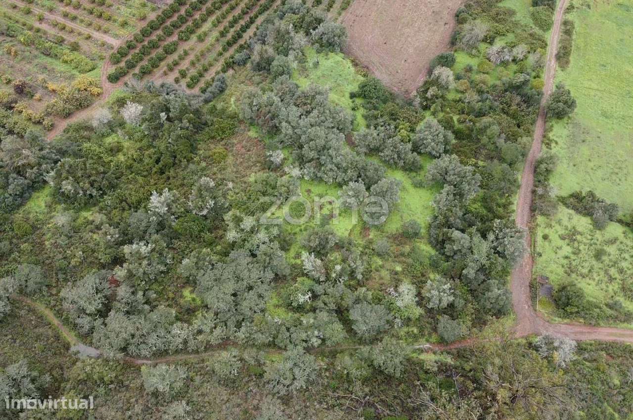 Terreno Rústico com 2.600m2 em Ladeira da Cumeada, Messines - Grande imagem: 4/16
