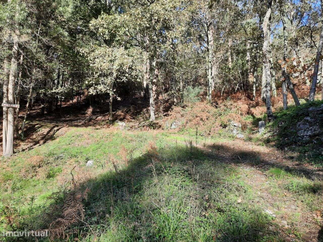 Terreno rústico com 3.200m2 em Vinhós, Fafe - Grande imagem: 4/12