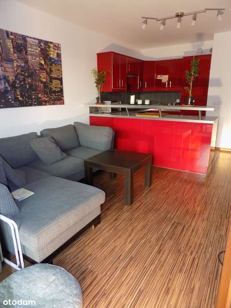 Bezpośrednio: 4-pok. mieszkanie – Radzikowskiego 106, IKEA, Bronowice