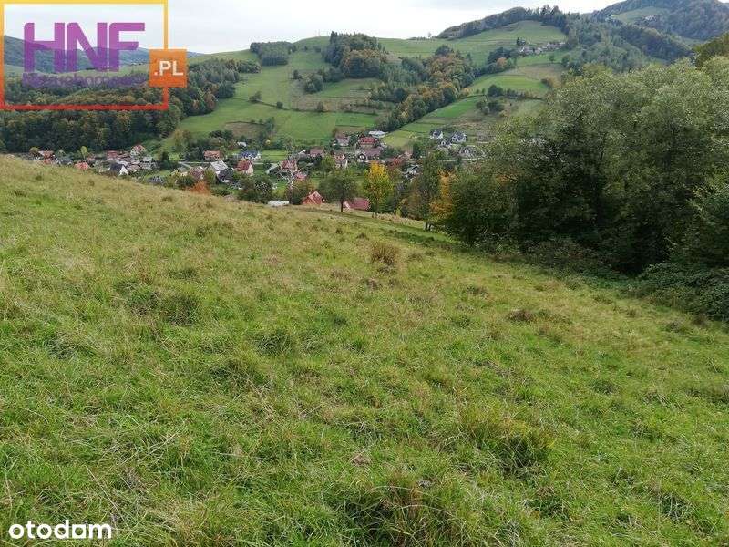 działka o powierzchni 25ar w Rytrze - Pełny obrazek: 5/9