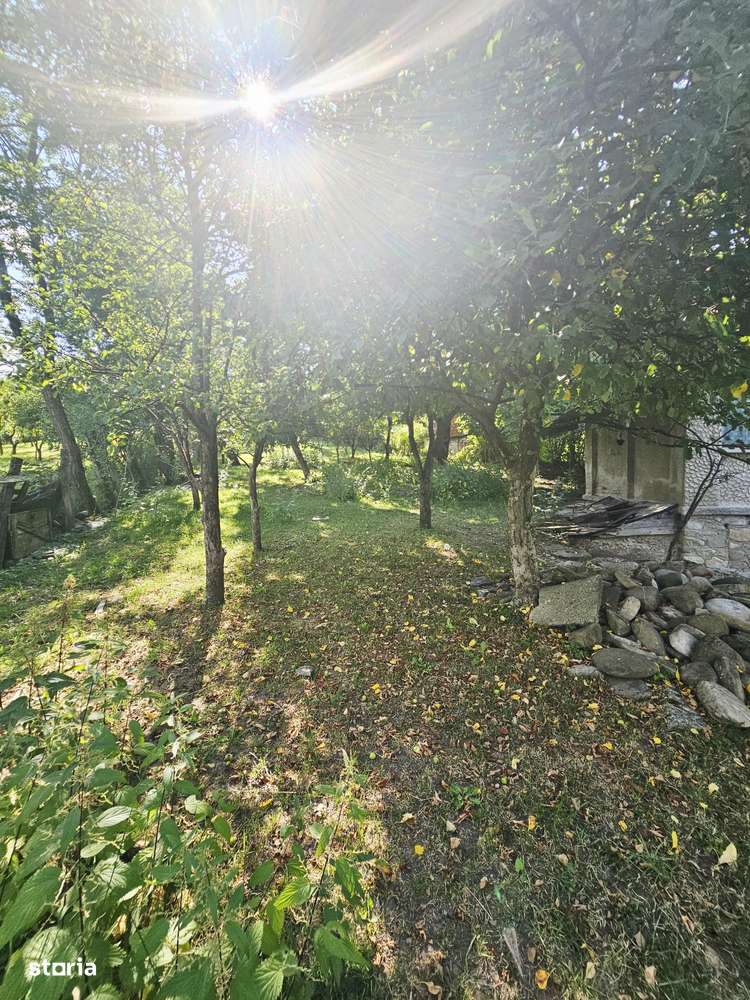 Teren intravilan de vânzare în Breaza de Jos – peisaj de vis! - Imagine principală: 4/15