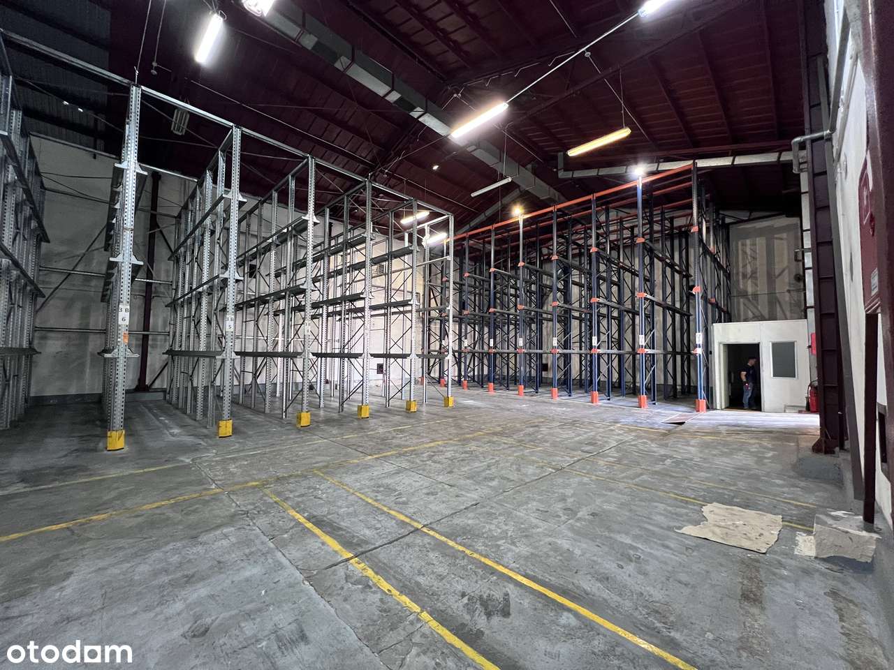 Magazyn powierzchnia 450 mkw. Do wynajęcia. Powierzchnia magazynowa. - Pełny obrazek: 5/8