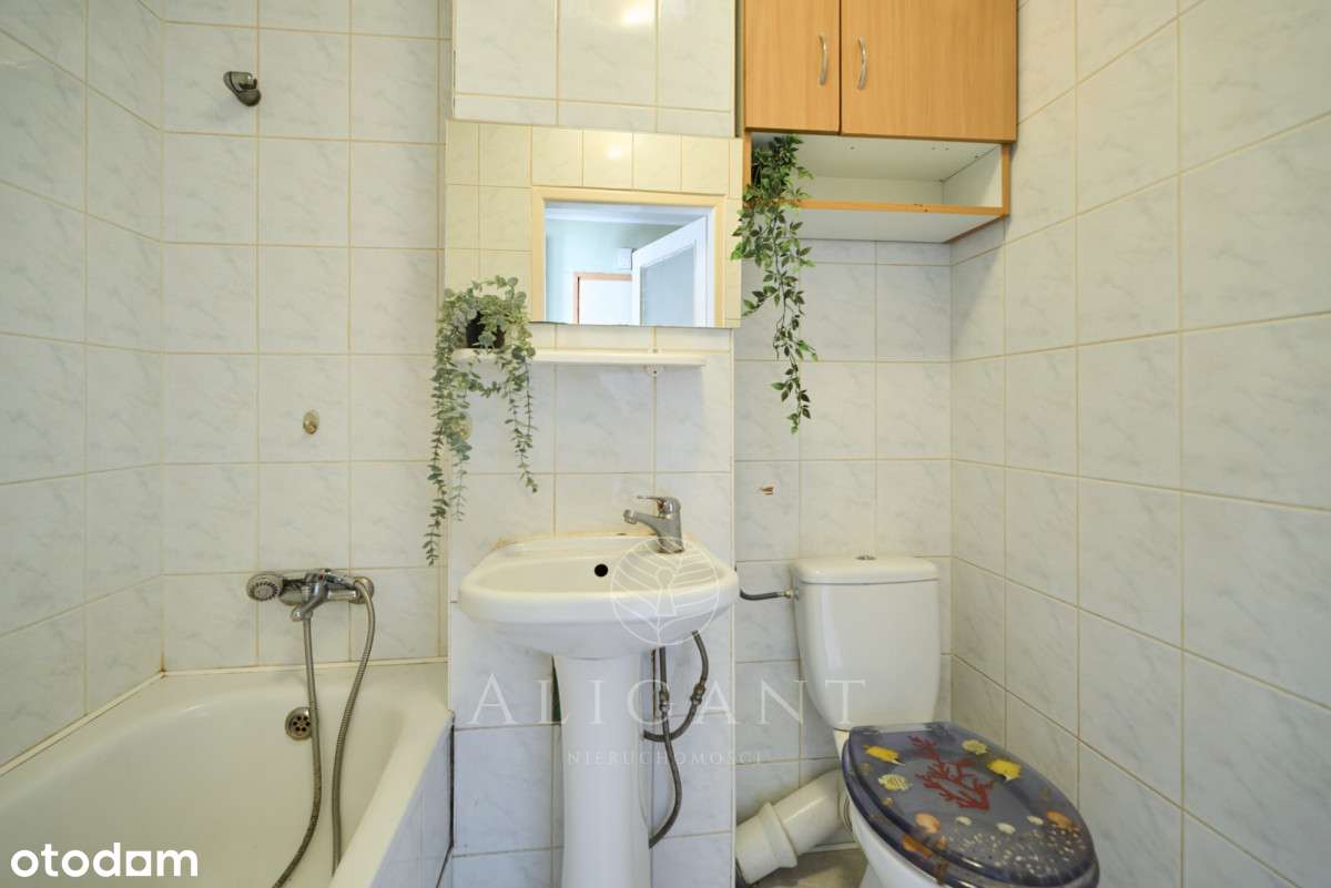 2 pokoje *Świetny układ *Blisko lasu *Do aranżacji-12