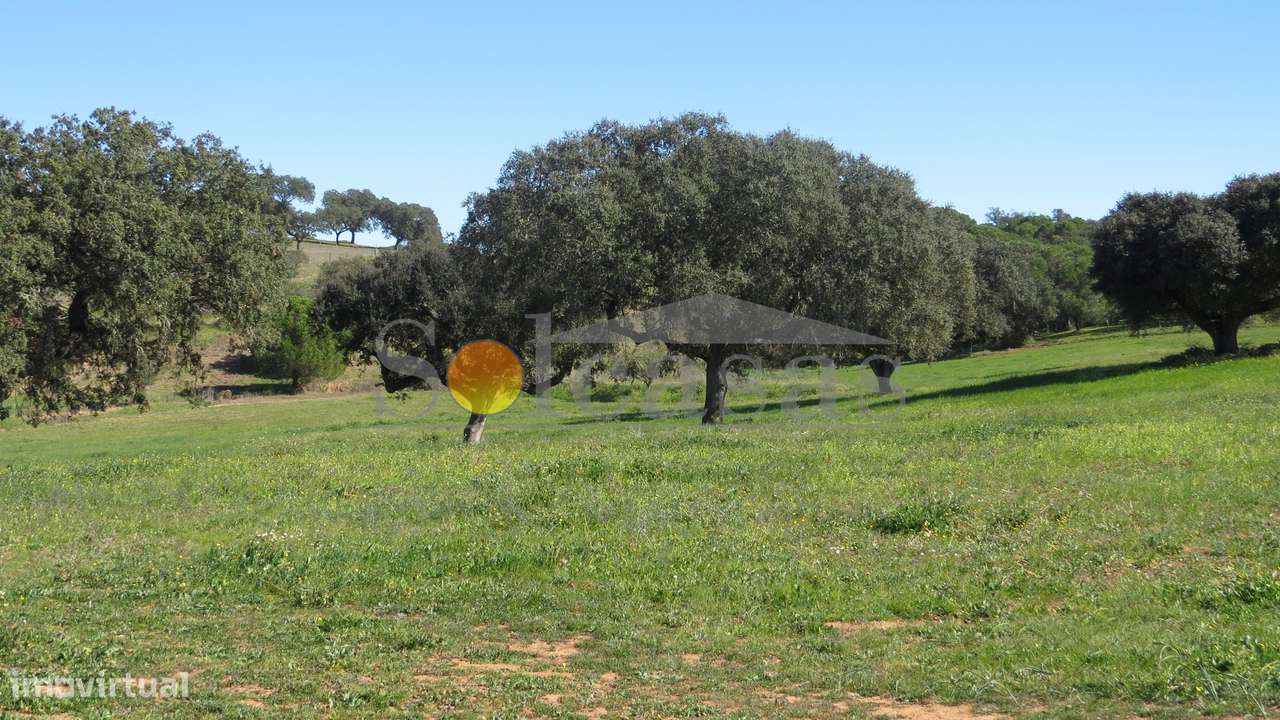 Quinta perto de Alcácer do Sal-10