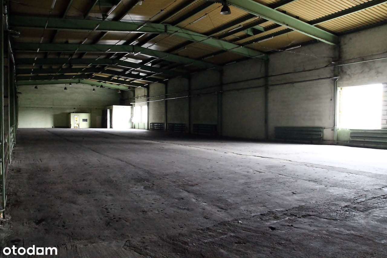 hale: 730m2, 930 m2, 185m2 i biura - bezpośrednio od właściciela - Pełny obrazek: 4/18