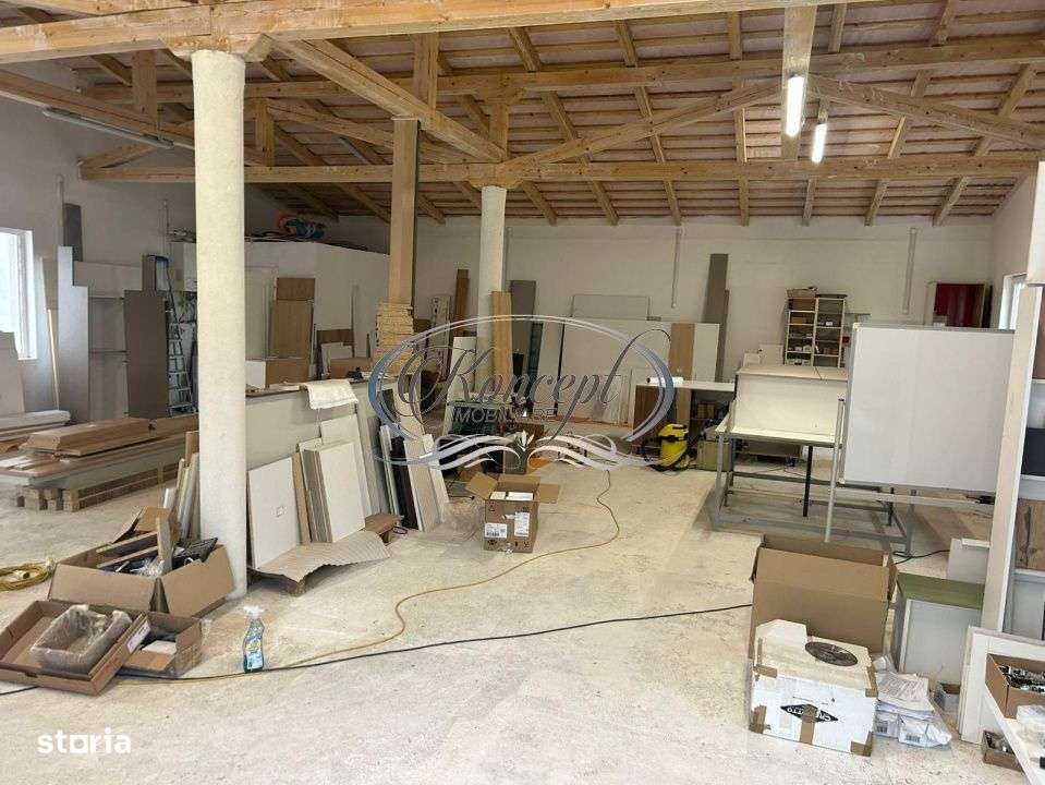 Hala productie sau depozitare - Imagine principală: 3/6