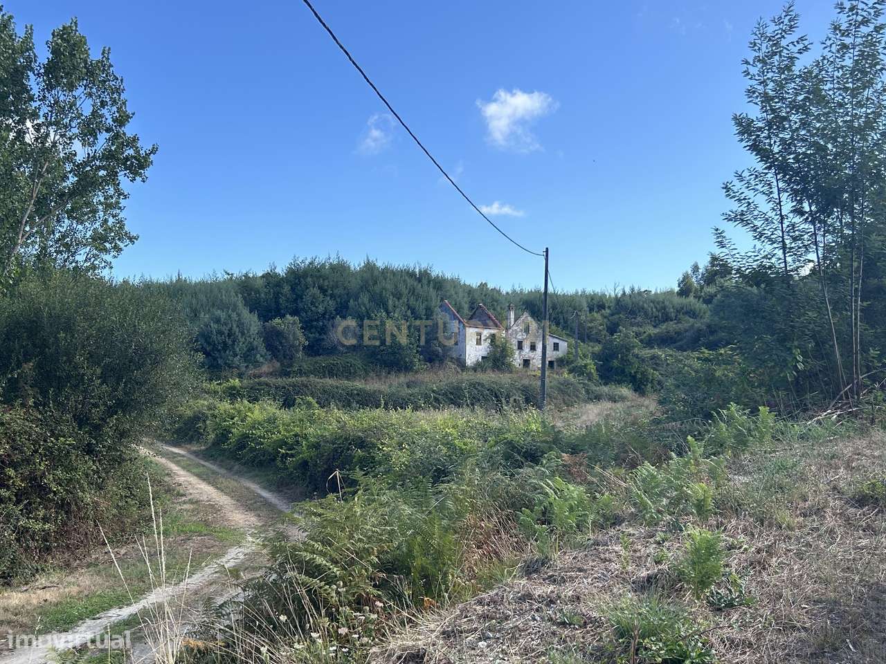 Quinta com Ruína - Oportunidade de Negócio - Grande imagem: 5/24