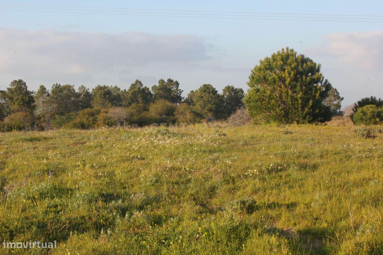 Terreno Rústico nos Salicos, Carvoeiro - Grande imagem: 3/4
