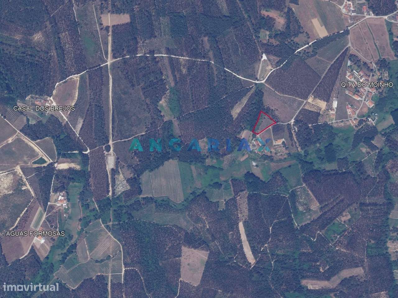 ANG1017 - Terreno de 4174m2 à Venda em Maceira, Leiria - Grande imagem: 4/12