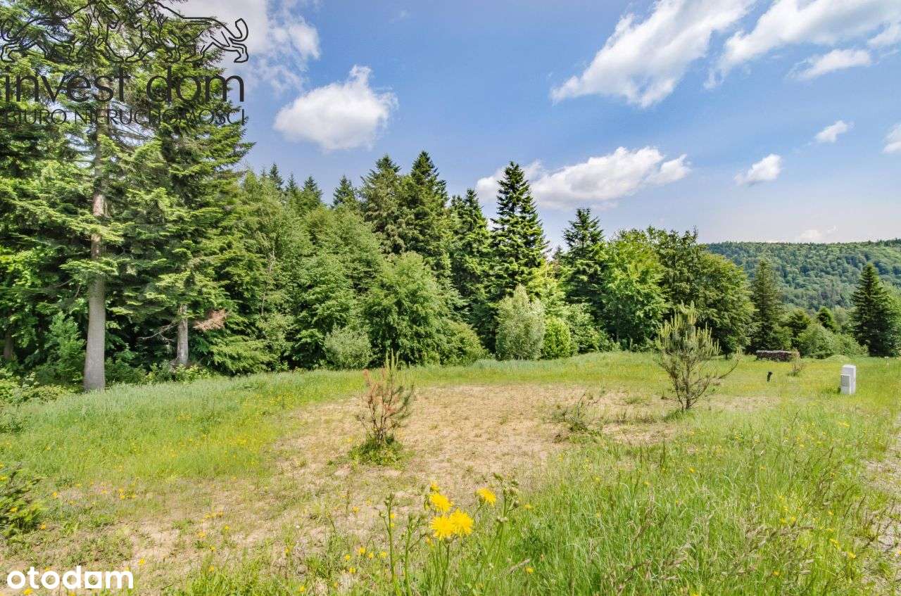 Działka w pełni uzbrojona pod lasem w Wysowej Z.! - Pełny obrazek: 5/13