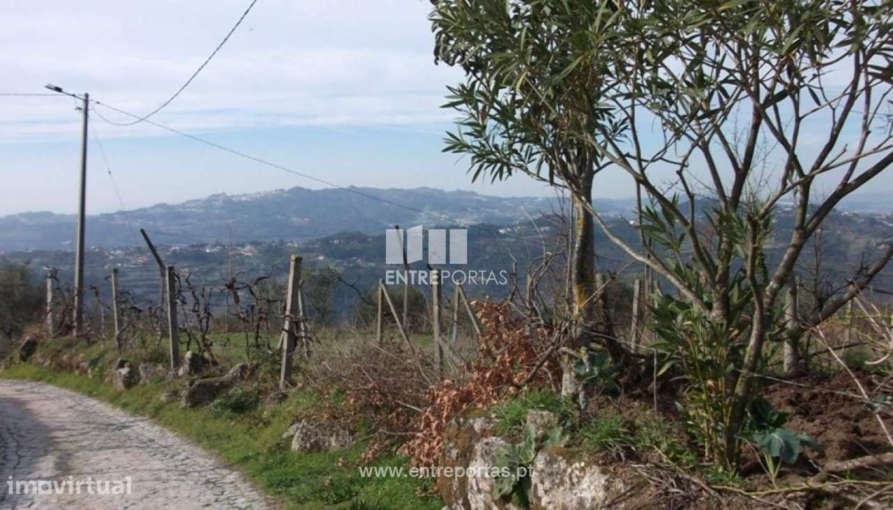 Venda Terreno, Folhada, Marco de Canaveses - Grande imagem: 5/8