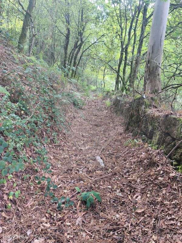 Terreno  para venda - Grande imagem: 4/5